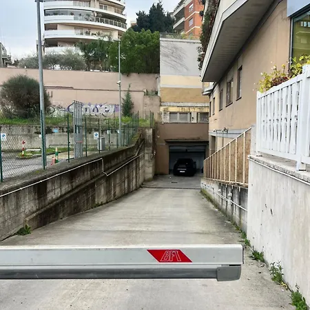 Sofia Ultra Collection 罗马