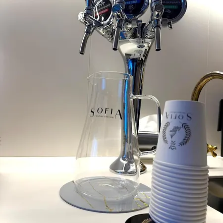 住宿加早餐酒店 Sofia Ultra Collection